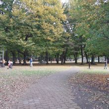 子供の遊び場一部です。