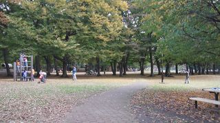 調布から行けます