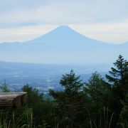 正面に富士山。夜は手前に夜景も見えます。