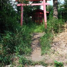 別掲ですが近く(本興寺参道脇)にこんな小神社が・・