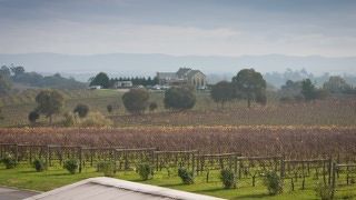 ワイン好きにはたまりません。