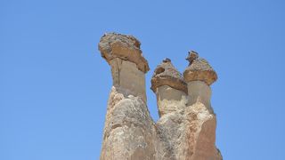 大満足なツアーでした。