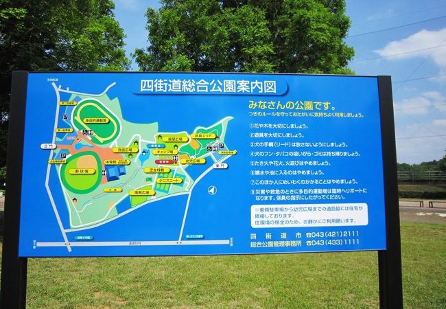 自然を生かした大きな公園