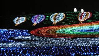 イルミネーション鑑賞