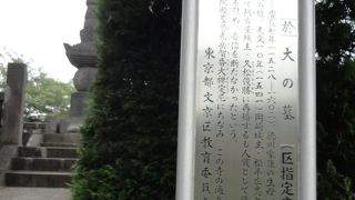 徳川家康の生母です。