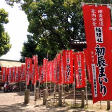 住吉大社の初辰まいり