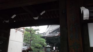 鹿の皮を常に・・・