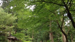 佇まいが素晴らしいが…。