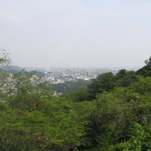 関東平野を一望