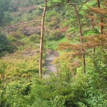もみじ谷（「もみじ駐車場」から徒歩5分位）