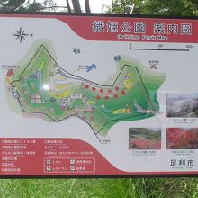 「もみじ駐車場」にある公園案内図