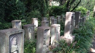 森のハイキングです。