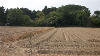 季節を感じられる草庵