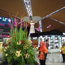 天井が高くてすてき。