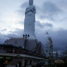近くで見る大観音は迫力大です！