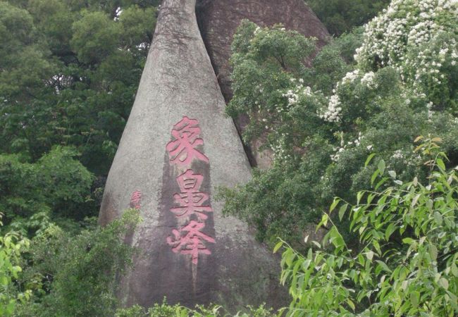 広い植物園奥の方にはお寺もありました。