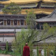 （西寧）チベット仏教寺院タール寺！問答修行初めて見ました