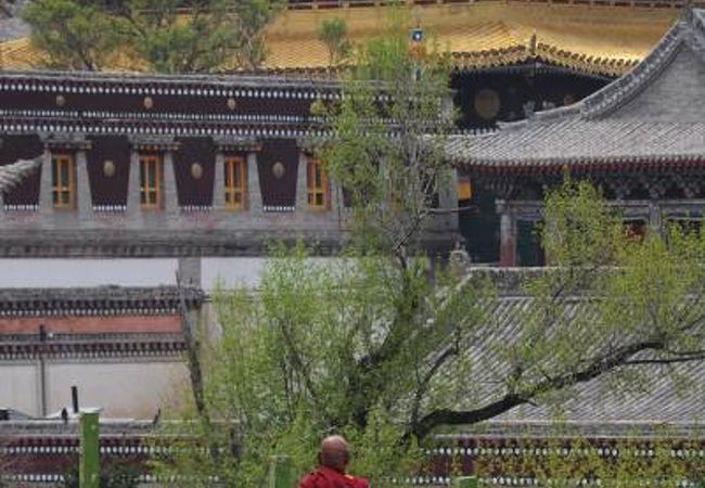 専用ページ ★青海省タール寺入手 金剛天珠 ☆青海省タール寺入手 金剛天珠