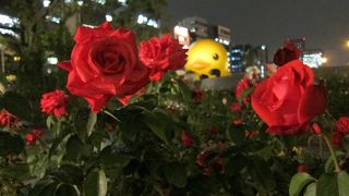 オフィス街のなかのオアシス