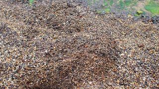 小雨の朝は静かな湖畔。