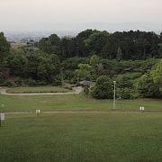 大きな運動公園です