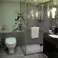 シャワーブースとトイレ