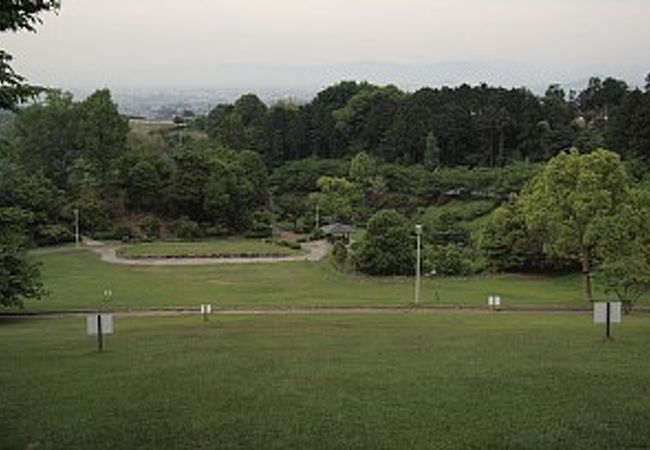 大きな運動公園です