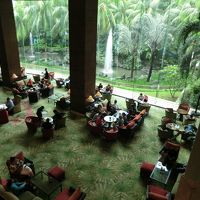 緑に囲まれて明るいロビーで生演奏も