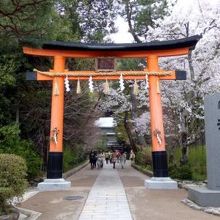 世界遺産 宇治上神社の赤い鳥居
