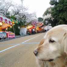 神社に向かう坂道の参道にも出店が・・・　