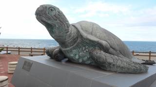 親不知海水浴場
