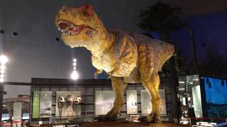 意外！スケールがでかくて面白い！