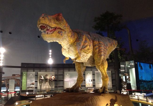 福井県立恐竜博物館 クチコミ アクセス 営業時間 勝山 フォートラベル