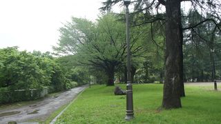 桜の名所として知られるようです