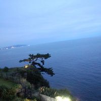 お部屋から．．．明かりが見える場所は静岡市だそうです