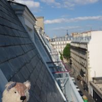 部屋からの眺めはこんな感じでした！