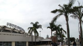 遠かったカサブランカ