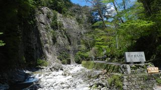 面河渓を流れる美しい川です
