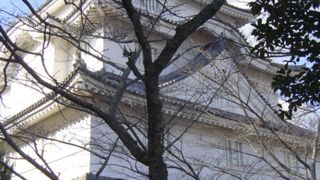 大多喜の町を見下ろせます