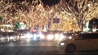 綺麗で　楽しいスポットもたくさん