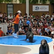 都心の水族館