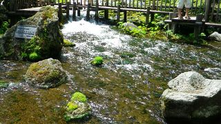 名水で入れるコーヒーが美味しいです。