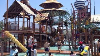 夏はサンシャインプール