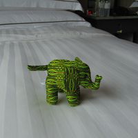 ホテルからのギフトとして、この緑の象さんはいただきました！