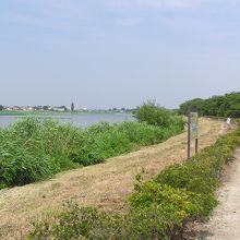 “城沼”と“朝陽の小径”（右手に桜並木が見えます）