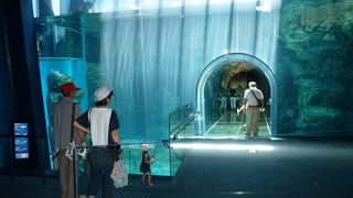 　ペンギン水族館
