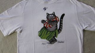 ネコのシャツを集めています