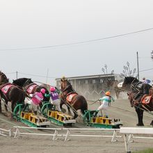 孫の運動会と道東の旅 帯広 北海道 の旅行記 ブログ By よっちゃんさん フォートラベル
