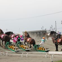 帯広競馬場(ばんえい十勝)