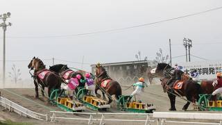 帯広競馬場(ばんえい十勝)